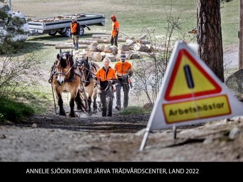 ANNELIE SJÖDIN DRIVER JÄRVA TRÄDVÅRDSCENTER, LAND 2022