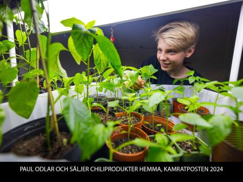 PAUL ODLAR OCH SÄLJER CHILIPRODUKTER HEMMA, KAMRATPOSTEN 2024