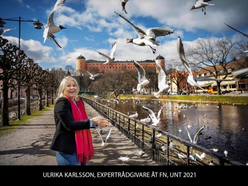 ULRIKA KARLSSON, EXPERTRÅDGIVARE ÅT FN, UNT 2021